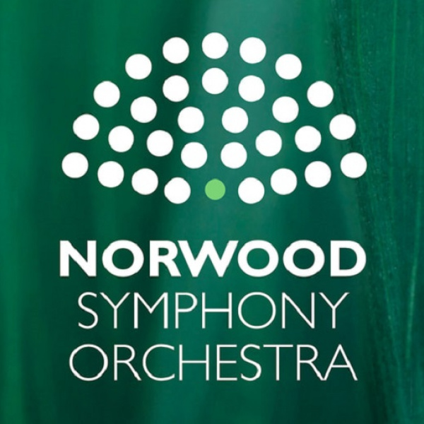 Image for NSO Song and Dance