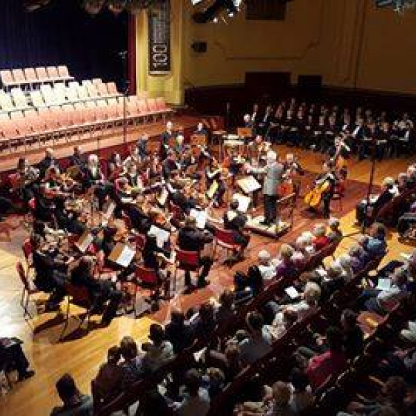 Image for Norwood Symphony Orchestra